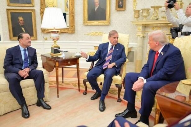 Pakistan as an Emerging Middle Power