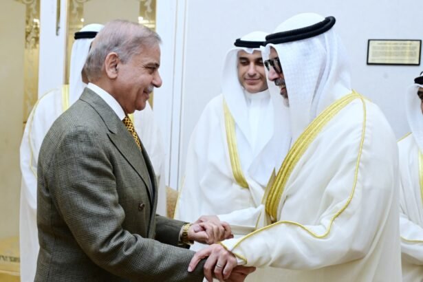 pm shehbaz1141785344484 0
