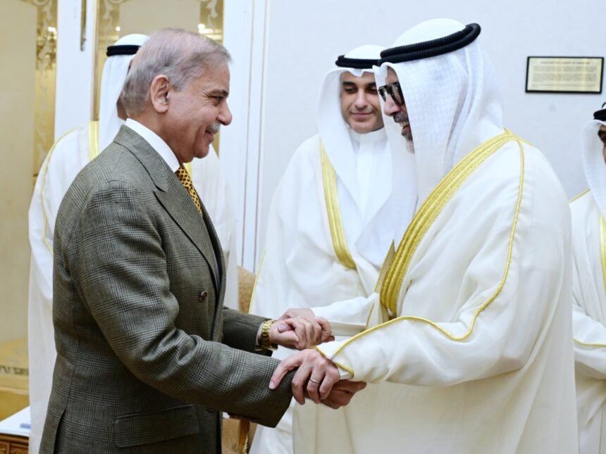 pm shehbaz1141785344484 0